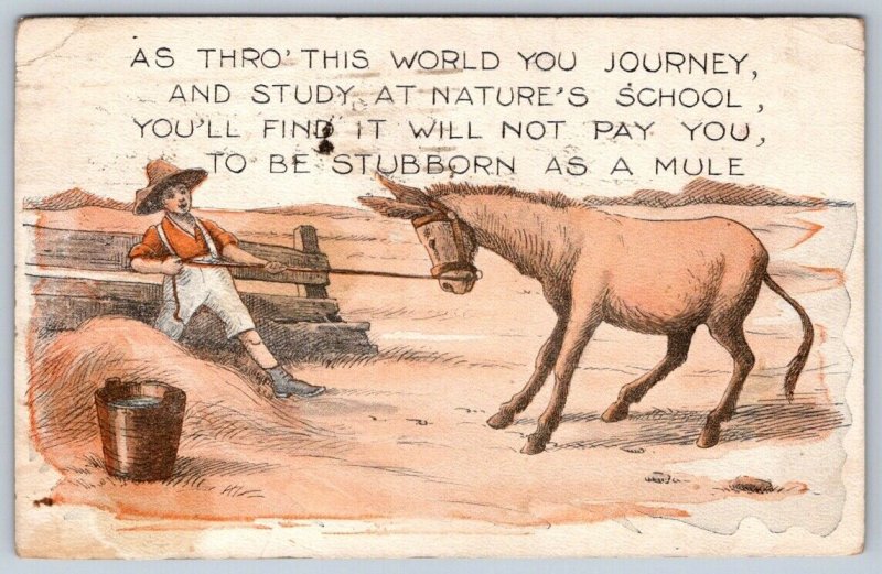 It Doesn’t Pay To Be As Stubborn As A Mule, Life Lesson, Donkey Comic Postcard