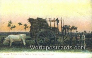 Cane Cart, Carreta de Cana de Cuba Republic of Cuba 1907 