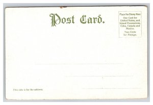 Vintage 1900s Postcard The Lost Channel, Thousand Islands, New York