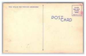 Stop Fooling Dear And Bring In The Ice Before My Husband Comic Postcard