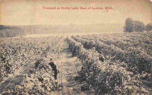 Grape Vineyard Pretty Lake East of Lawton Michigan 1916 postcard