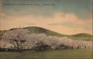 Princeton Massachusetts MA Pine Hill Hand Colored Albertype 1940s Postcard