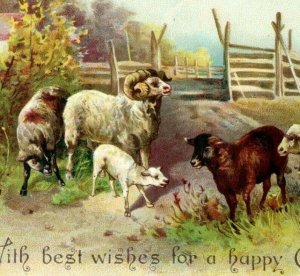 1880s-90s Victorian Christmas Card Ram & Sheep Farm Scene #S