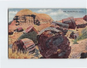 B-187463 The Petrified Forest Of Arizona