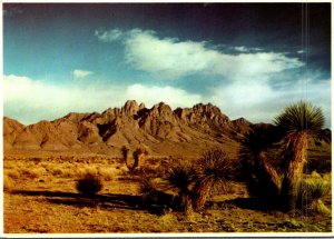 New Mexico Las Cruces Organ Mountains