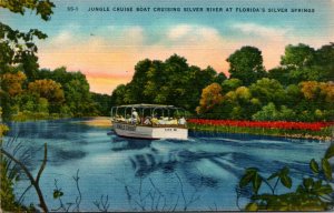 Florida Silver Springs Jungle Cruise Boat Cruising The Silver River