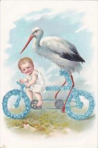 Stork With Baby Riding Bicycle
