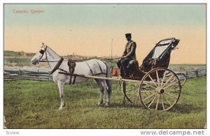 Horse Wagon, Caleche, Quebec, Canada, 1900-1910s