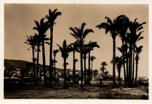 Palestine Israel Tel Aviv Haifa Mount Carmel  Vintage RPPC BS15