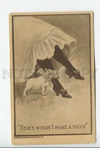 462264 Funny PUG Dog & Female Legs Vintage postcard USA 1910 year