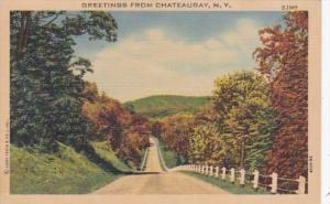 New York Greetings From Chateaugay Curteich