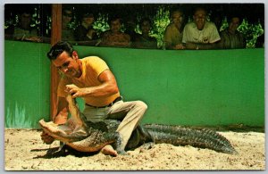 Fort Lauderdale Florida 1960s Postcard Alligator Wrestler B. McLellan Aquaglades