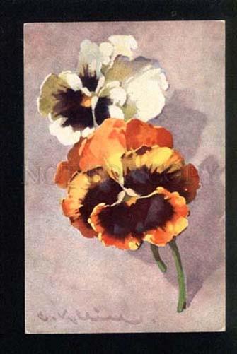 3044142 Huge PANSY Flowers By KLEIN vintage colorful PC