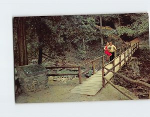 Postcard Salt Petre Cave, Natural Bridge, Virginia