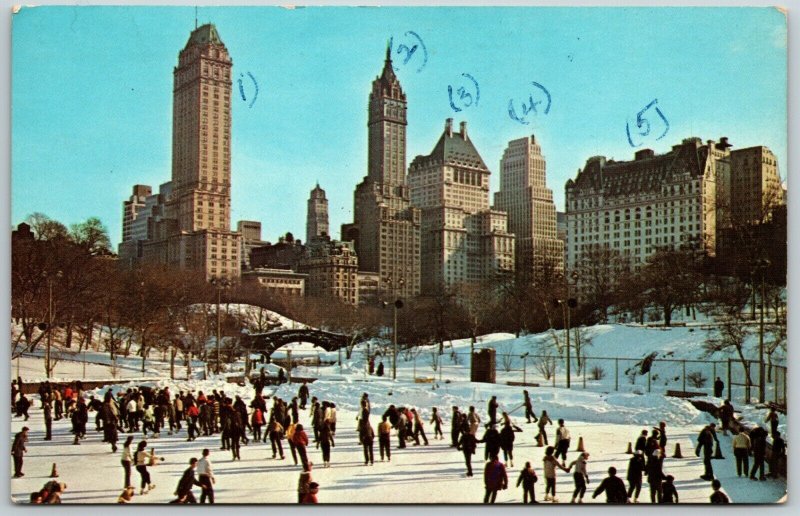 Winter in Central Park New York City - 1966 Postcards 