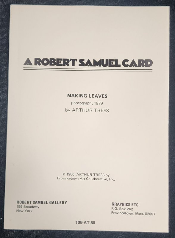 Making Leaves Gay Art Photo by Arthur Tress 1979 A Robert Samuel Card ©1980