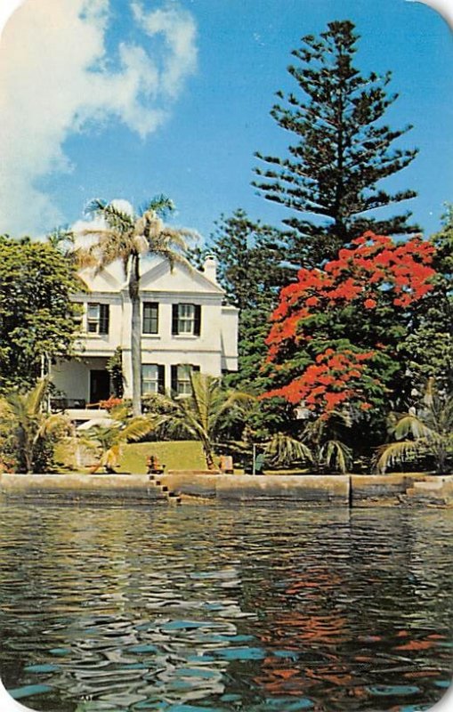 Brilliant Red of the Poinciana Reflected in the Blue Water Bermuda Island 1959 