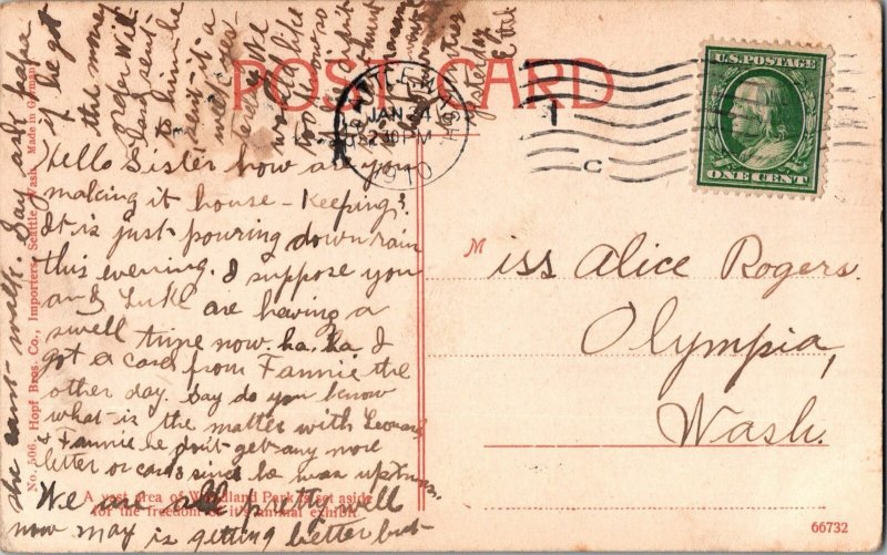 Elk In Woodland Park, Seattle Washington WA Postcard Antique Deer KO11