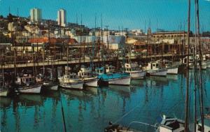 San Francisco Fishing Boats At Anchor Fisherman's Wharf