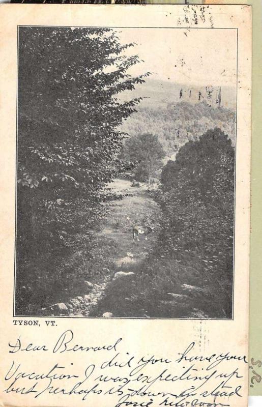 Tyson Vermont Scenic Forest View Antique Postcard K85895