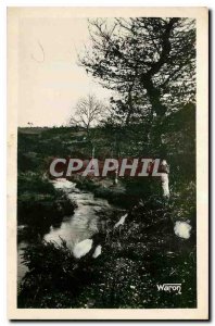 Old Postcard Saint Nicolas du Pelem La Riviere of Feodal between Saint Nicola...