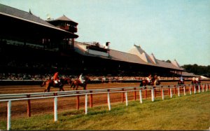 New York Saratoga Springs Thoroughbred Track Parade To The Post Horse Racing