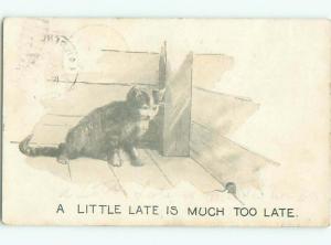 Pre-Linen CUTE KITTEN CAT TOO LATE TO CATCH MOUSE AC5455