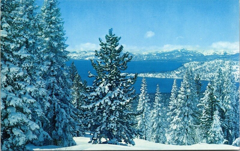 Crystal Bay Lake Tahoe Nevada NV Postcard UNP VTG Mike Roberts Unused Vintage 