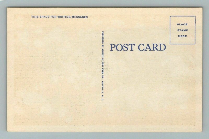 Mimosa Blossoms, Morganton, North Carolina, Postcard