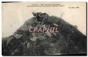 Old Postcard Goat Summit Cantal Puy Mary Residents look too fierce s & # 39ob...