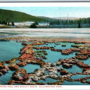 c1910s Yellowstone Park, WY Sapphire Pool Biscuit Basin Haynes Photo #10096 A226