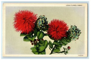 c1940s Beautiful Leaves, Lehua Flower Hawaii HI Unposted Vintage Postcard