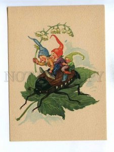 195858 GERMANY Gnomes on beetle Vintage postcard