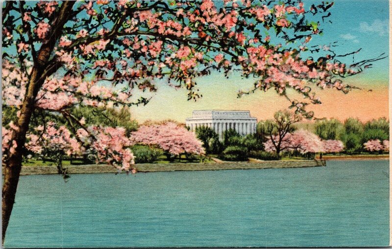 Lincoln Memorial Japanese Cherry Blossoms Washington DC Postcard UNP VTG Unused