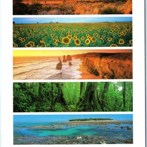 c2000s Australia Wilderness Multi View Outback Sunflowers Reef Chrome Lg PC M28