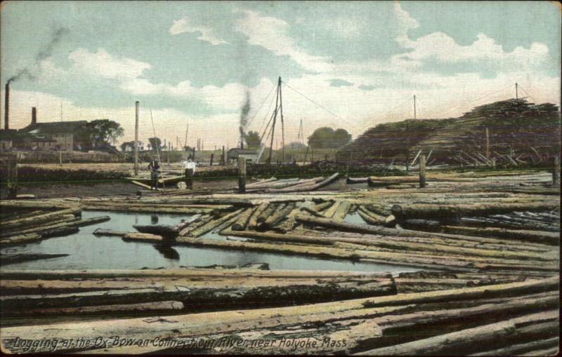 Logging at Ox Bow Conn River Near Holyoke MA c1910 Postcard