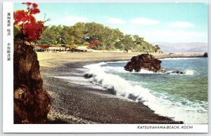 Vintage Katsurahama Beach Kochi Japan Postcard - Aquarium Scenic View