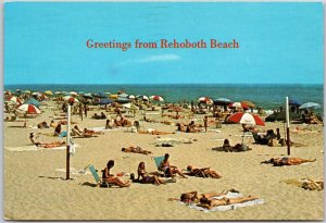 Rehoboth Beach Delaware Women Sunbathing Swimming Beach Ocean Postcard