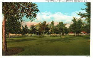 Vintage Postcard Municipal Park Lake Ontario Grounds Rochester New York RNC Pub.