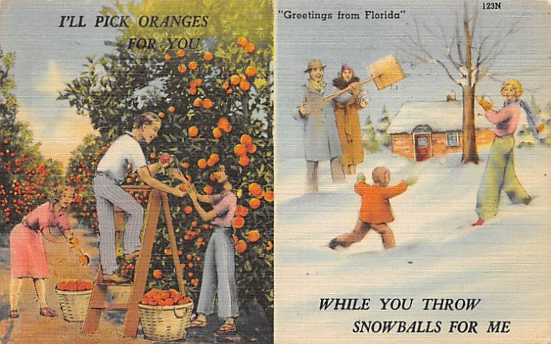 Pick Oranges Florida, USA Fruit Assorted 1949 