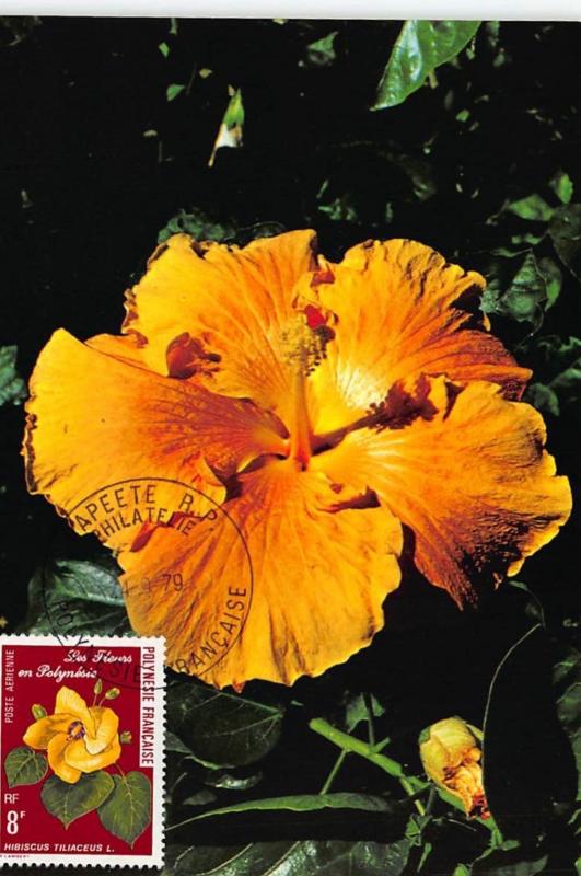 CARTE MAXIMUM : tahiti hibiscus - tres bon etat