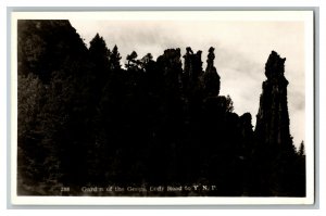 Postcard Garden Of The Goops Cody Road To Y.N.P. Vintage Standard View RPPC 