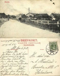 denmark, HØJREBY, Partial Town View (1909) Postcard