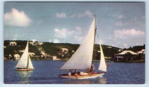 Hamilton Harbour Sailboats BERMUDA Postcard