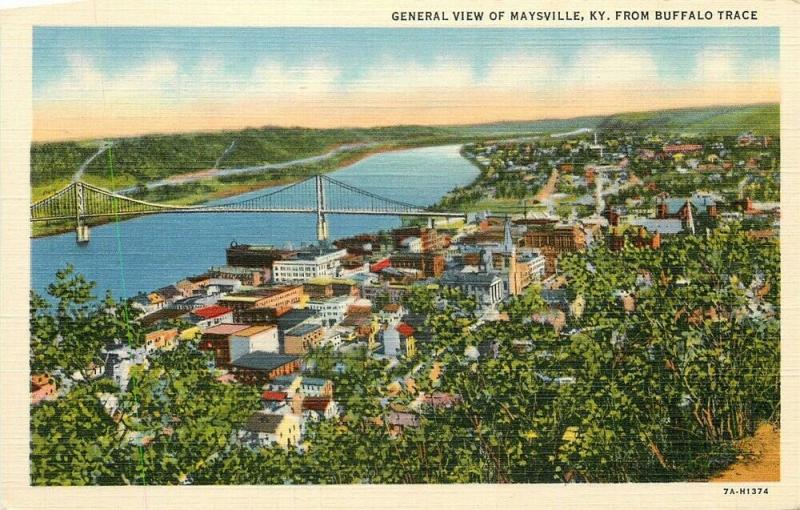 KY, Maysville, Kentucky, General View, From Buffalo Trace, Curteich No. 7A-H1374