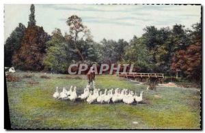 Postcard Modern Folklore Guardian d & # 39oies Normandy