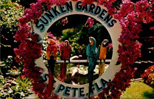 Florida St Petersburg Sunken Gardens Colorful Macaws