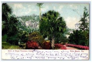 1907 Walk At Royal Poinciana Hotel Palm Beach Florida FL Posted Antique Postcard 