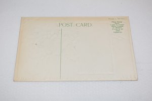 Christmas Greetings Holly Postcard Printed in Germany