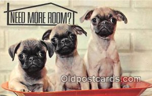 Southern Bank and Trust Company Dog, Canine Postcard